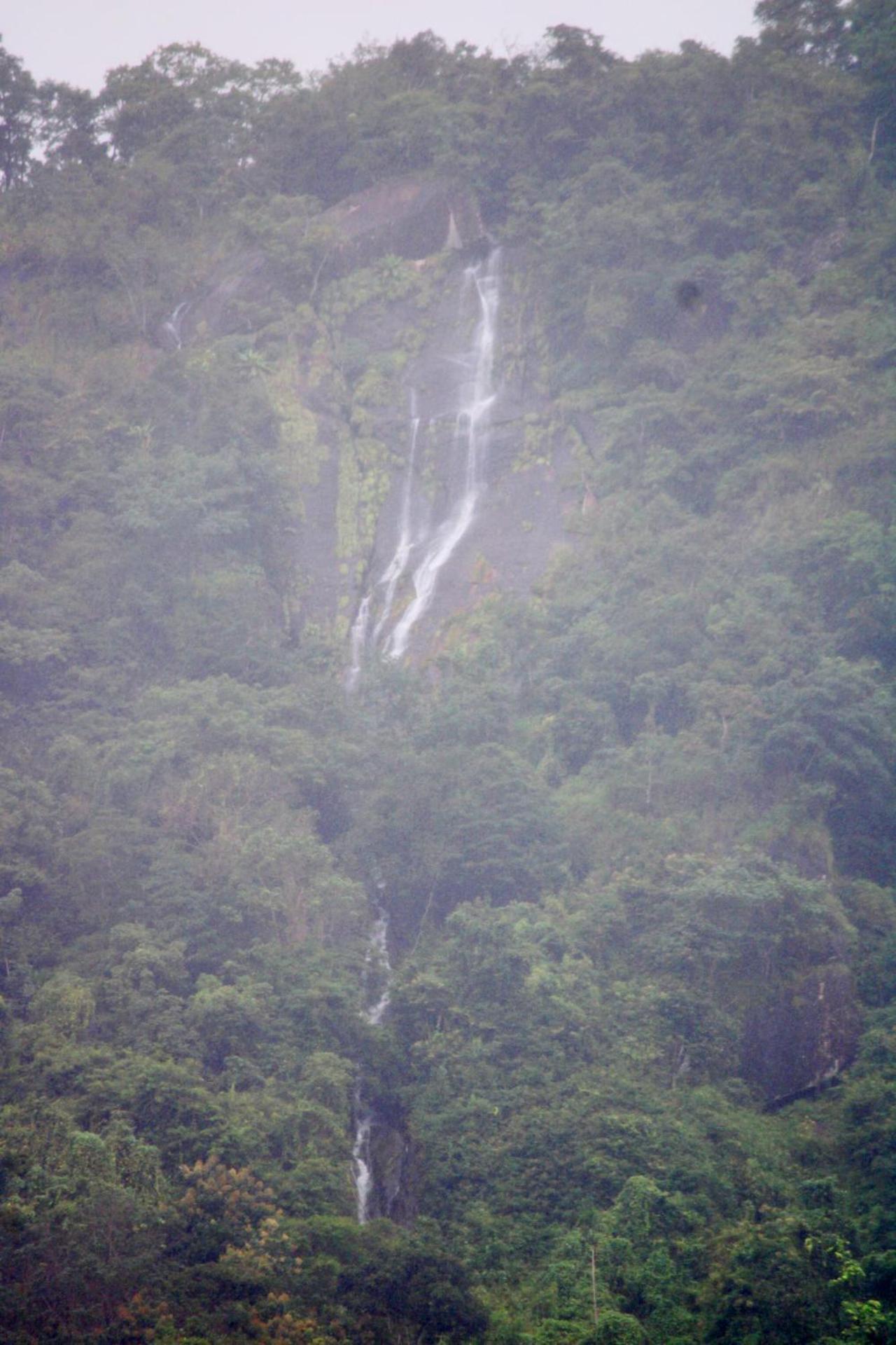 Kudayattur Mist Farm House מראה חיצוני תמונה